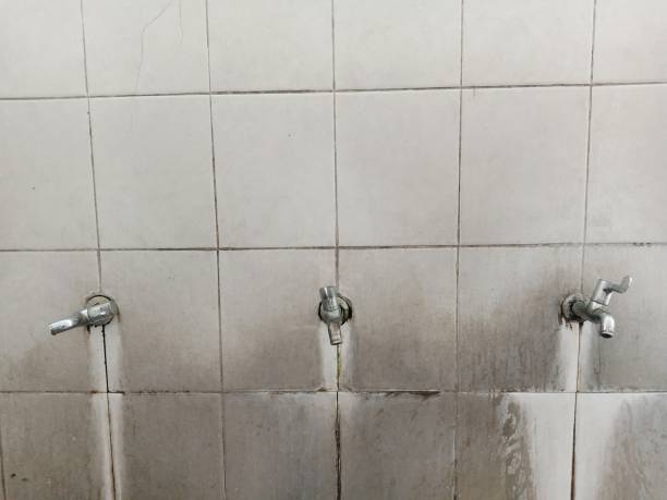 Best Mold removal after water damage  in Laurel, MS