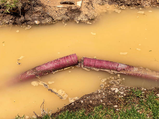 Best Commercial water damage restoration  in Laurel, MS